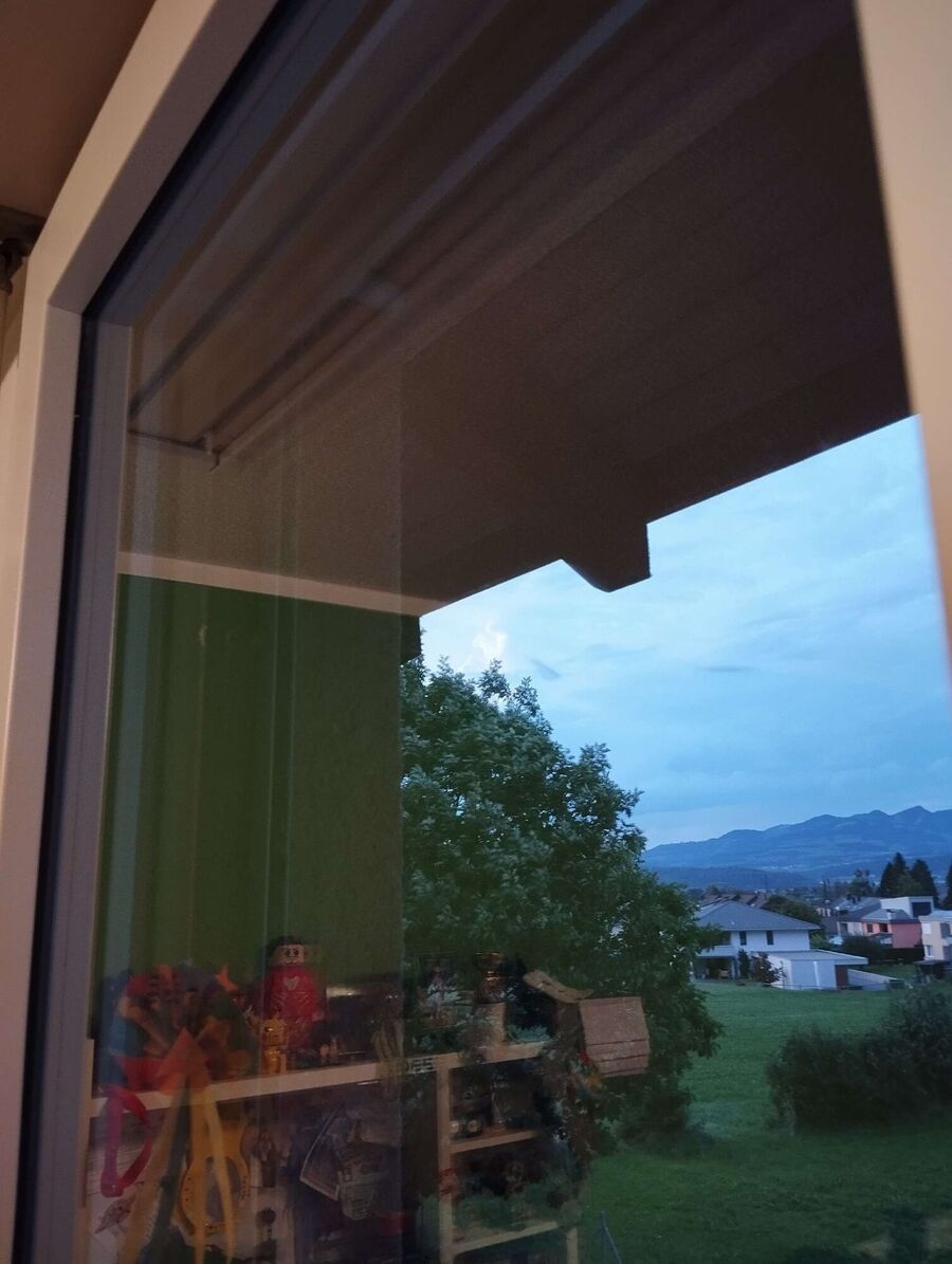 Bienen umsiedeln &  Bienennest entfernen 