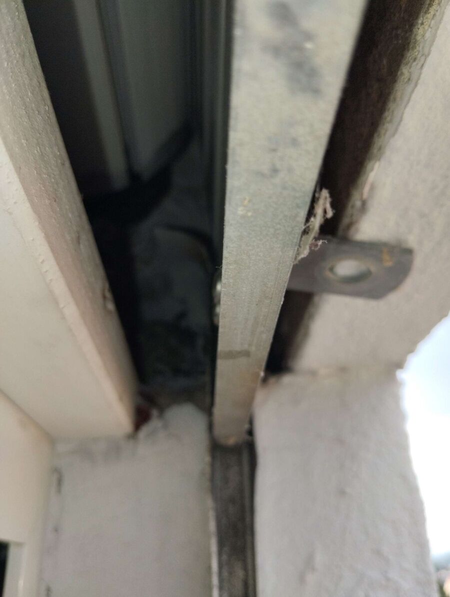 Bienen umsiedeln &  Bienennest entfernen 