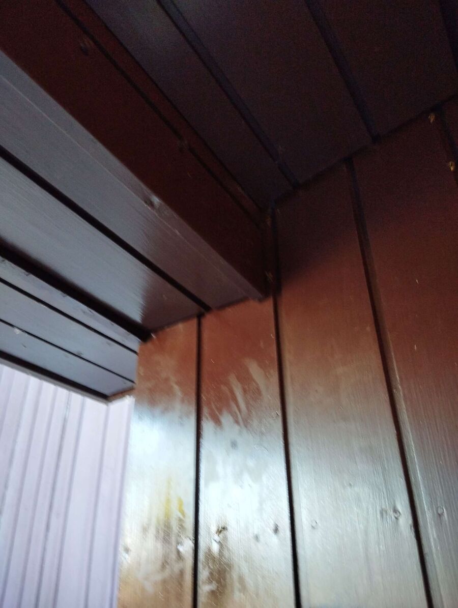 Bienen umsiedeln &  Bienennest entfernen 