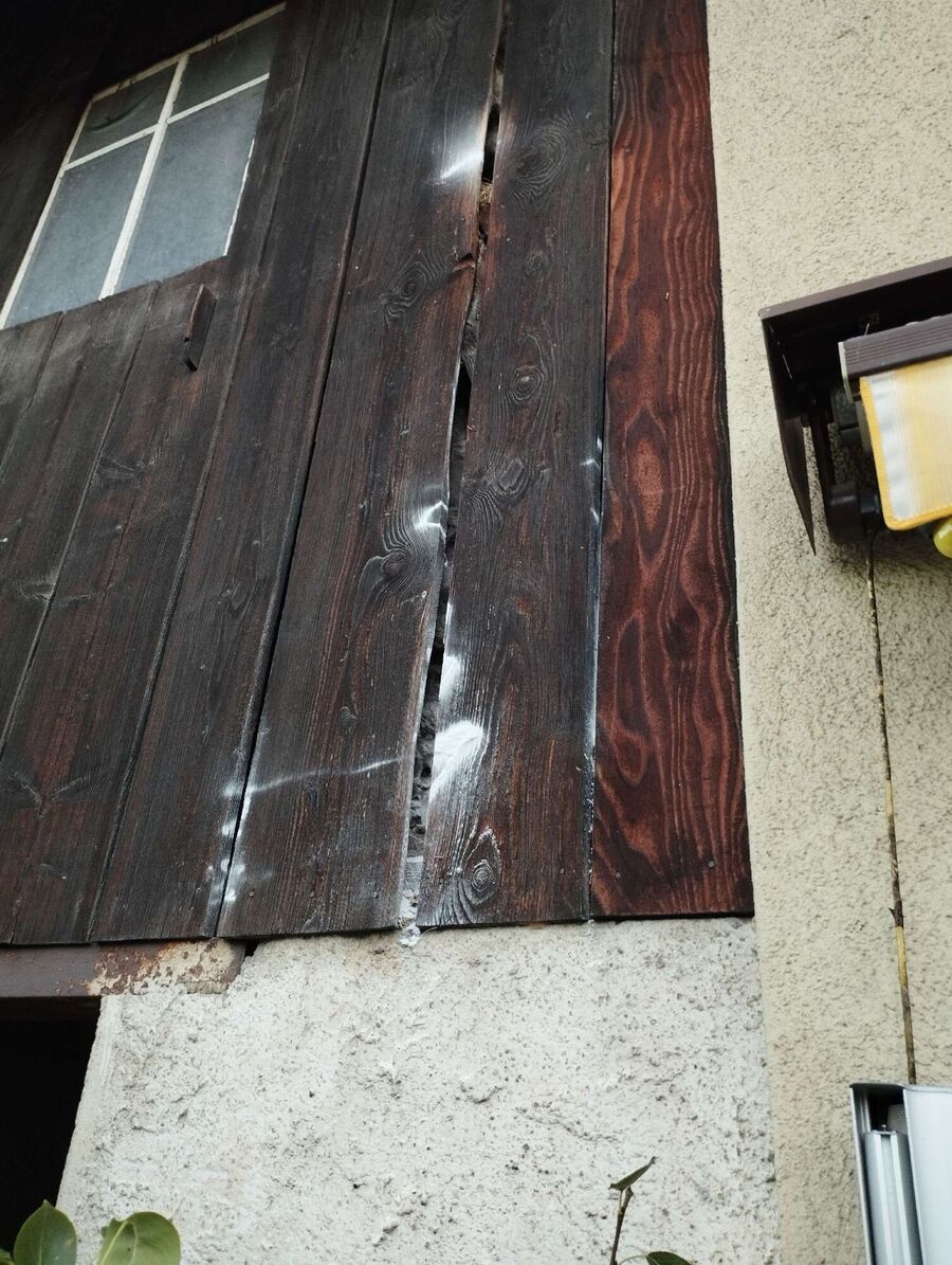  Bienennest entfernen