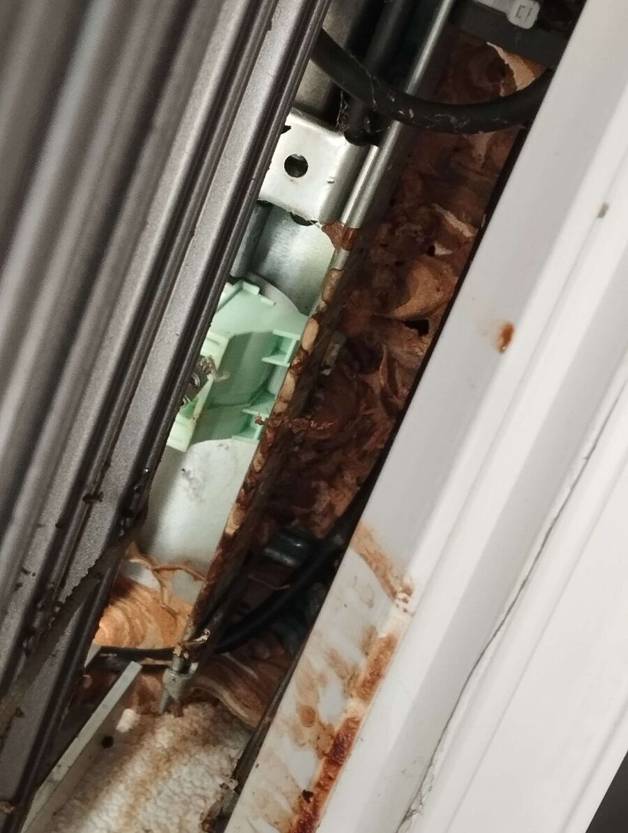  Bienennest entfernen