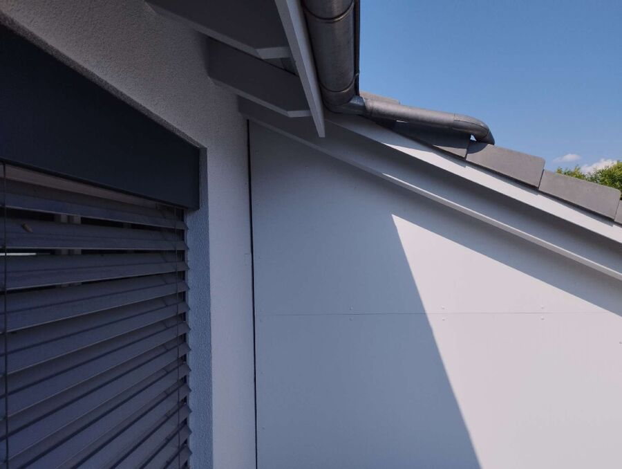 Bienen umsiedeln &  Bienennest entfernen 