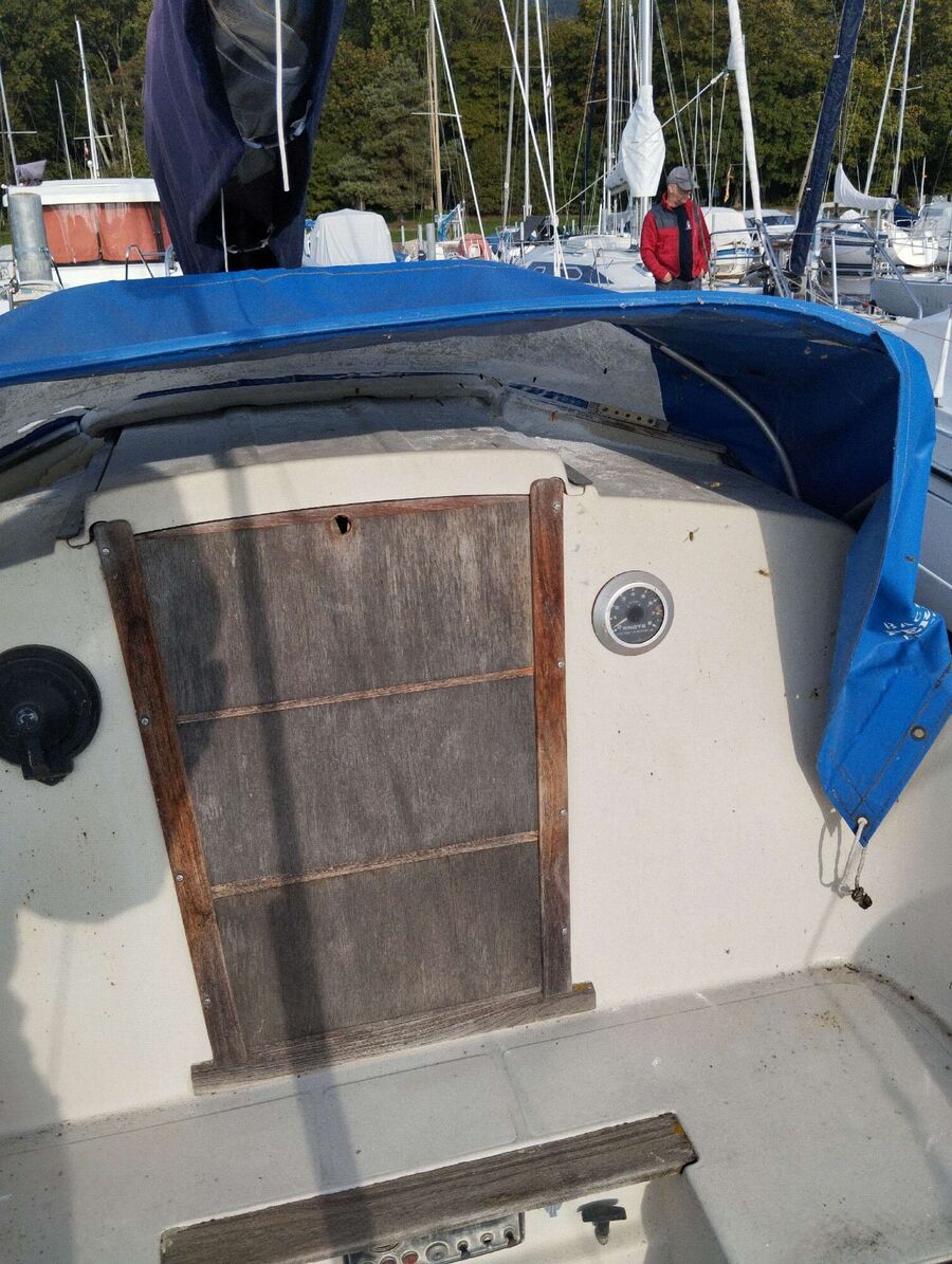 Bienen umsiedeln &  Bienennest entfernen 