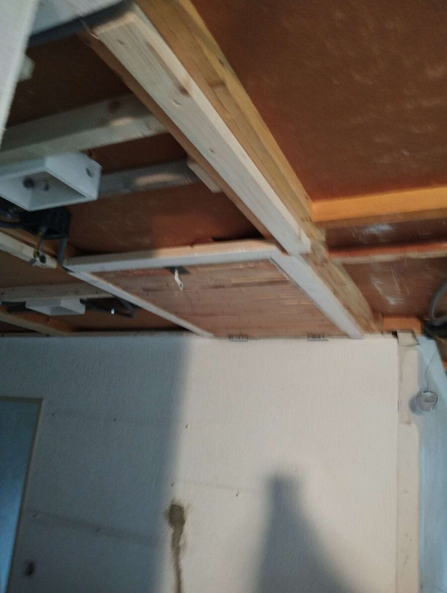 Bienen umsiedeln &  Bienennest entfernen 