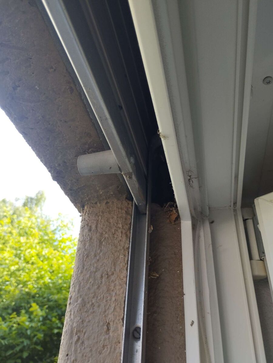  Bienennest entfernen.jpeg