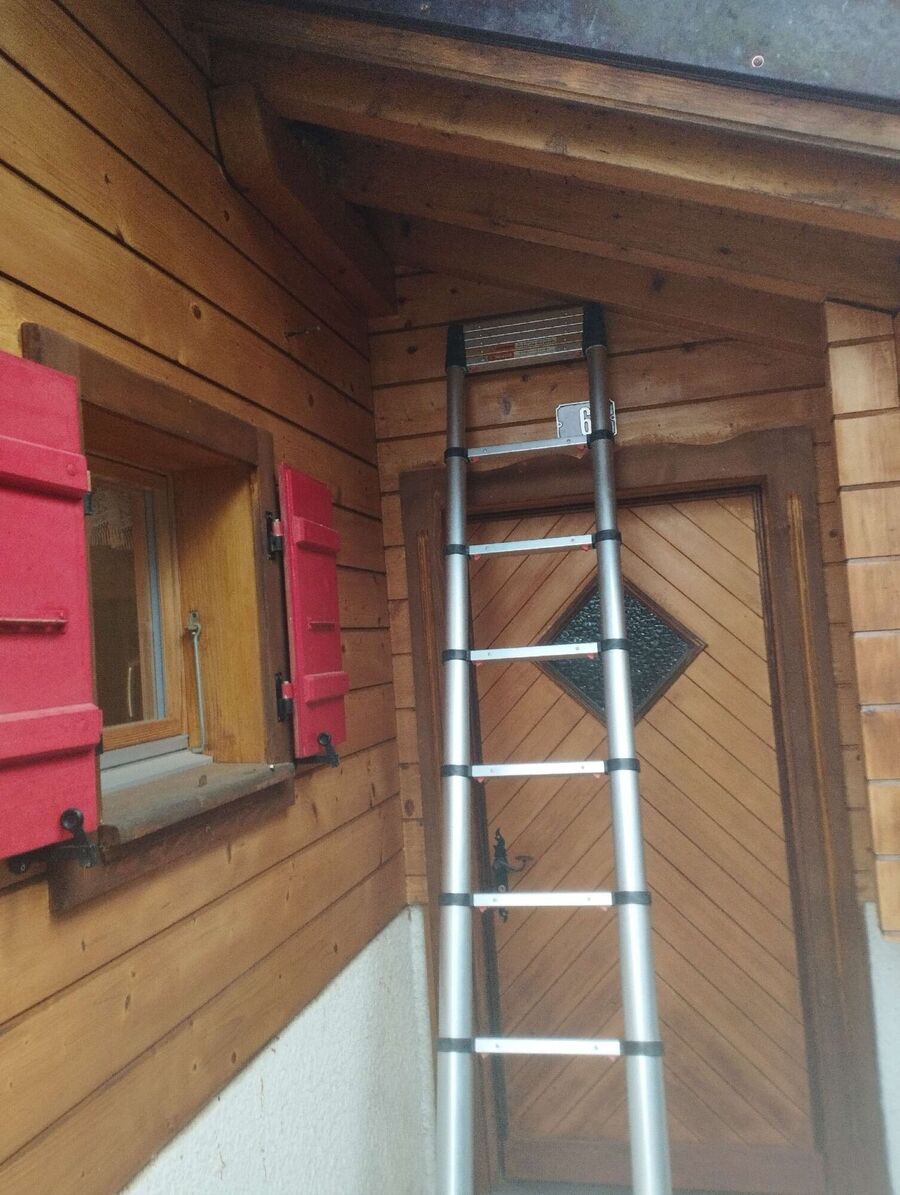  Bienennest entfernen.jpeg