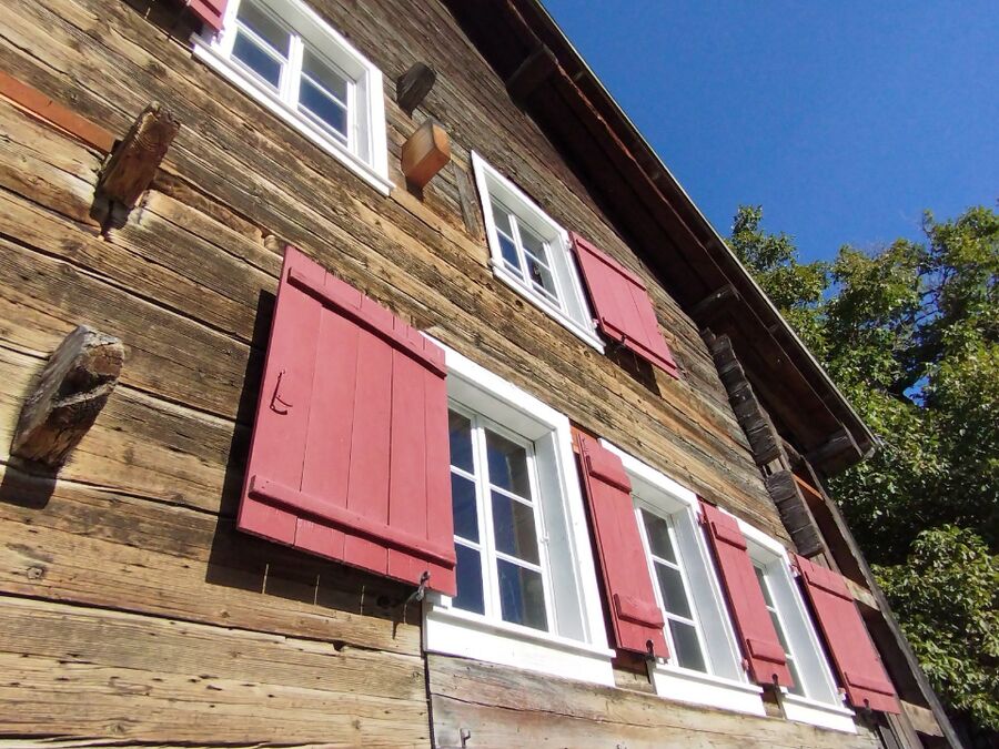 Bienen umsiedeln &  Bienennest entfernen 