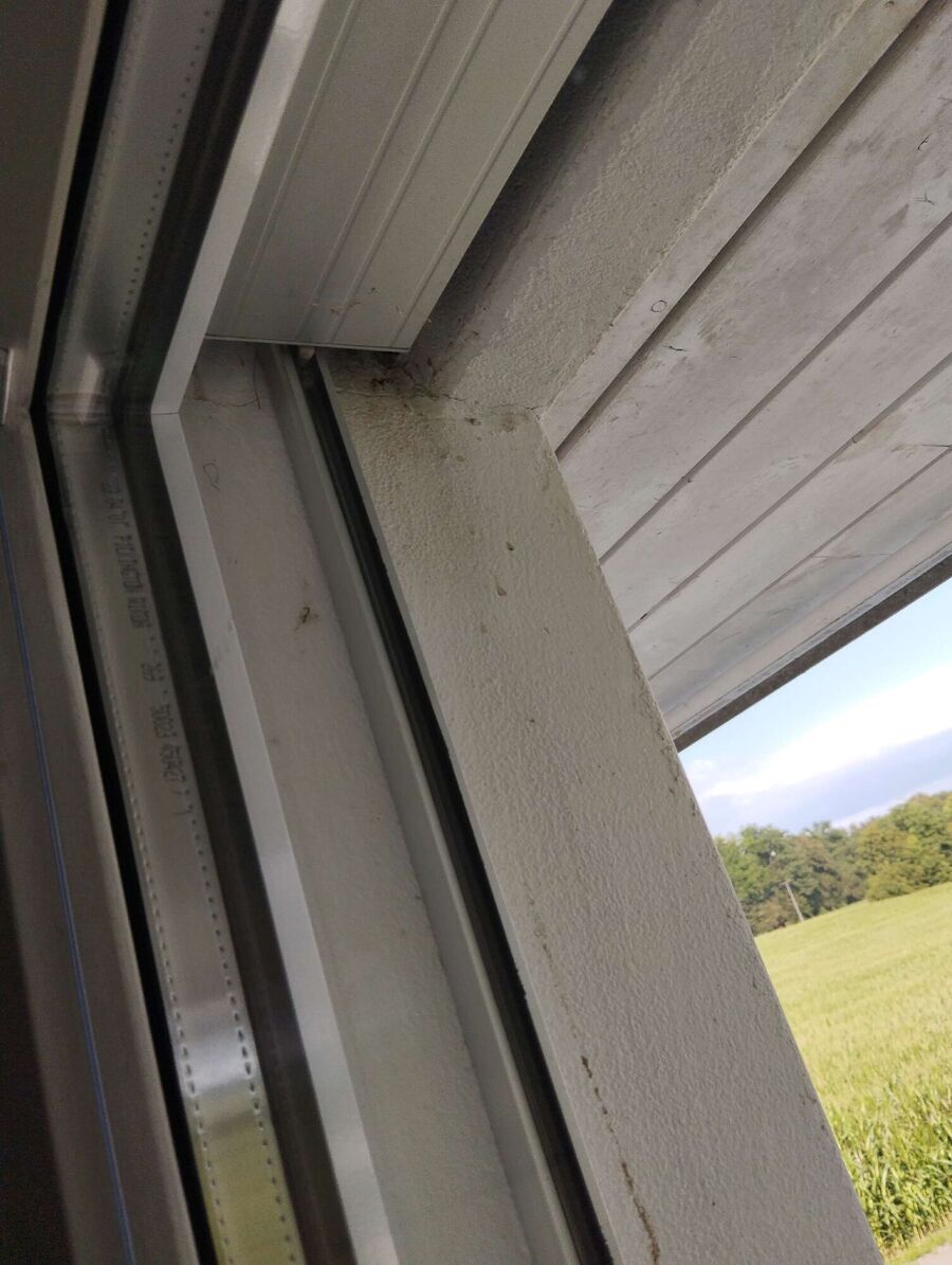 Bienen umsiedeln &  Bienennest entfernen 