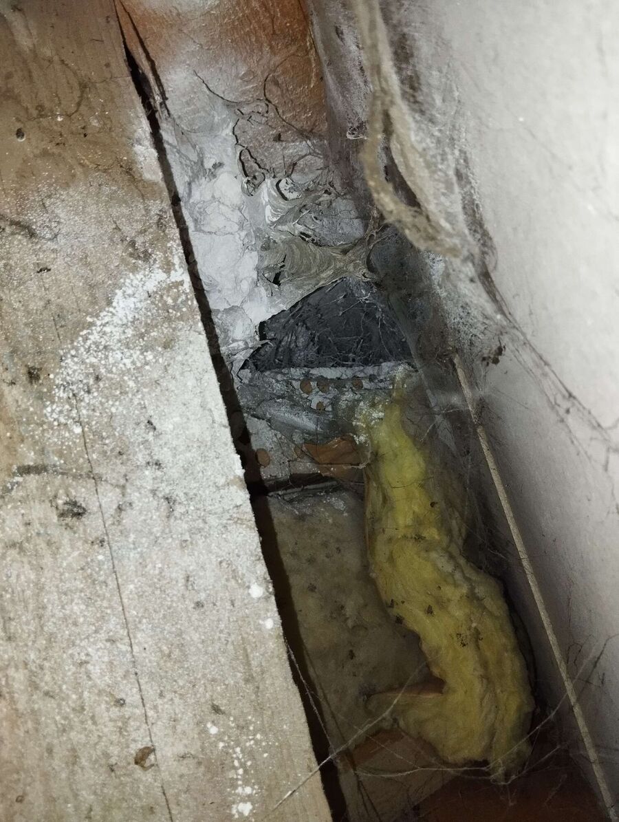  Bienennest entfernen