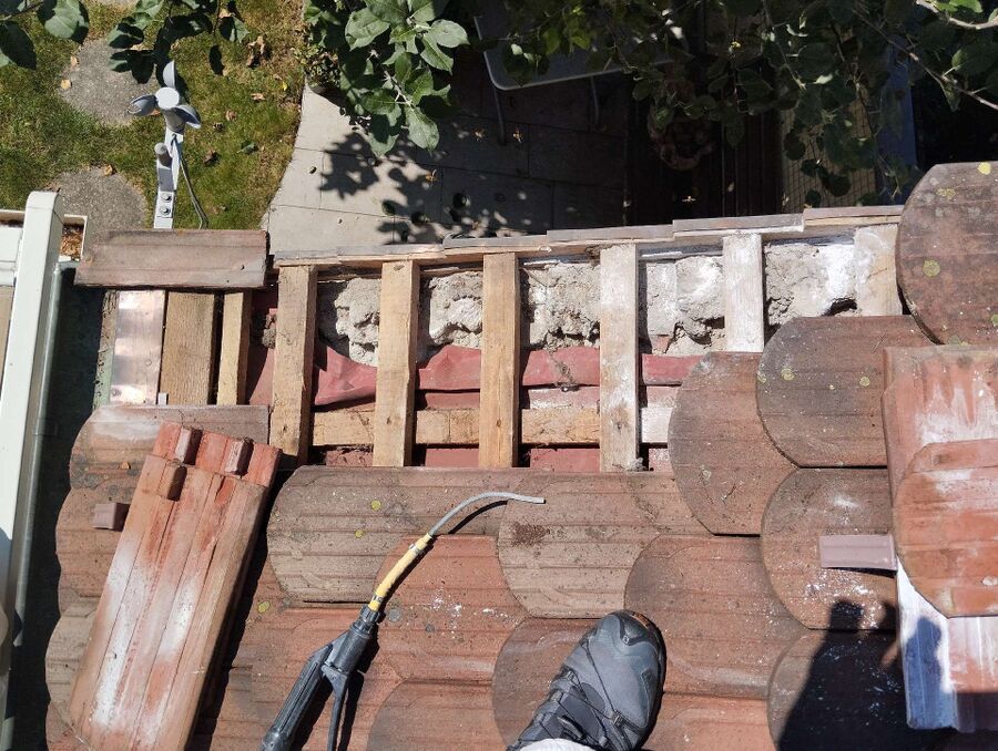  Bienennest entfernen