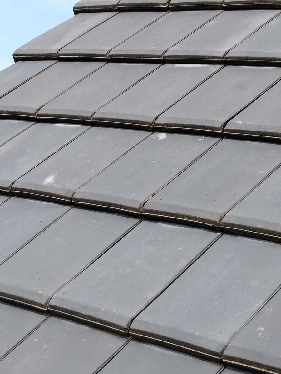 Bienen umsiedeln &  Bienennest entfernen 