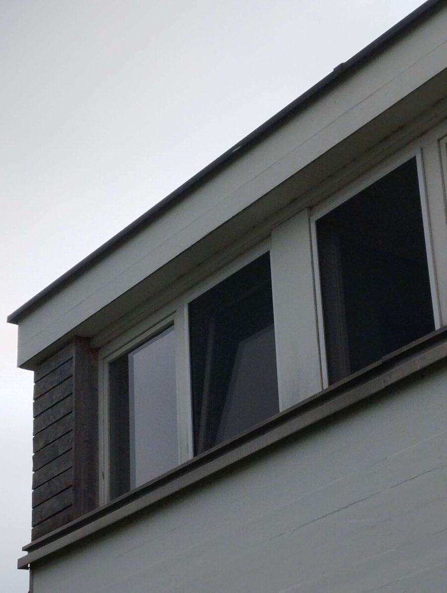 Bienen umsiedeln &  Bienennest entfernen 