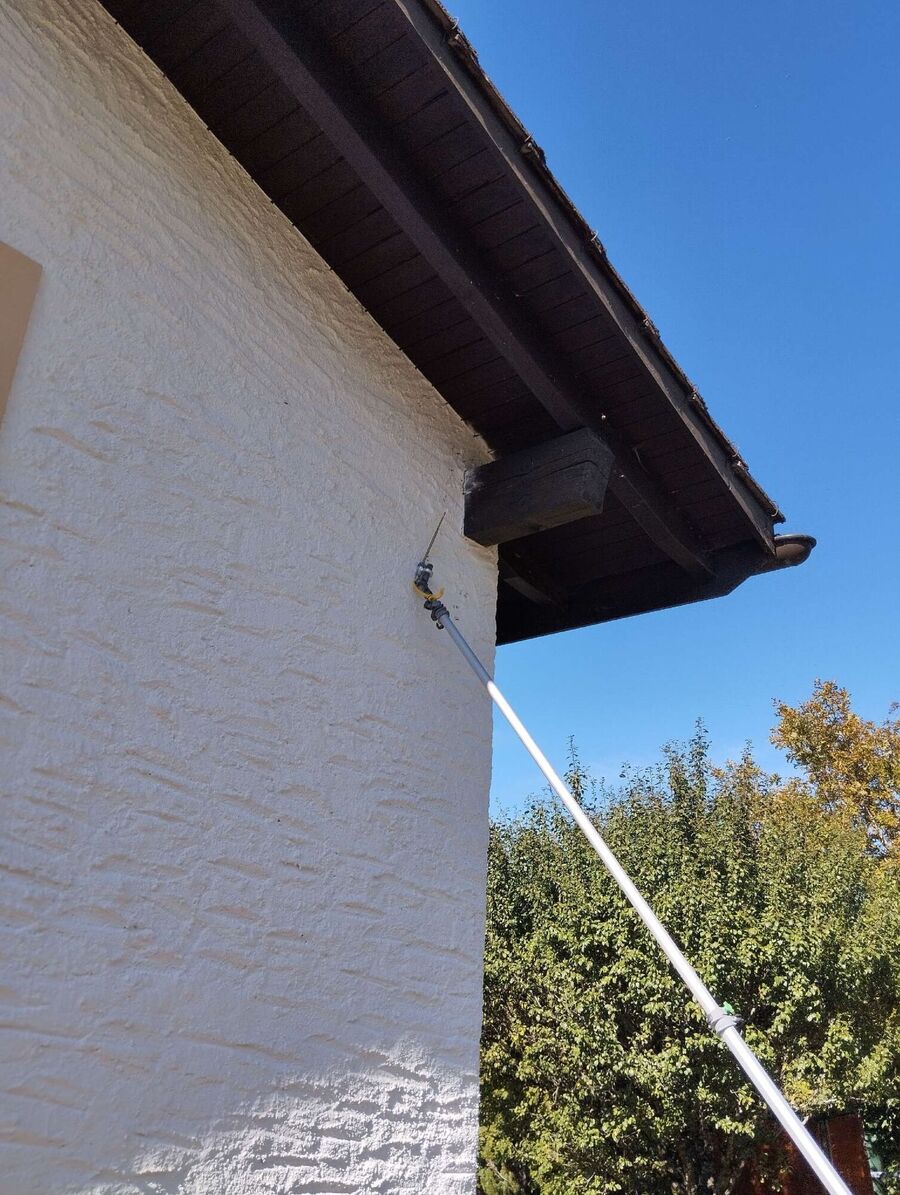  Bienennest entfernen.jpeg