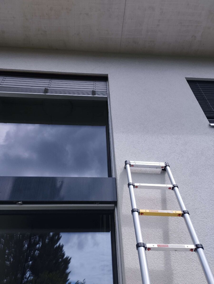 Bienen umsiedeln &  Bienennest entfernen 