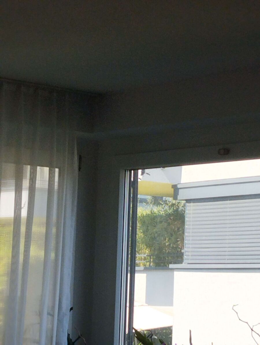  Bienennest entfernen.jpeg