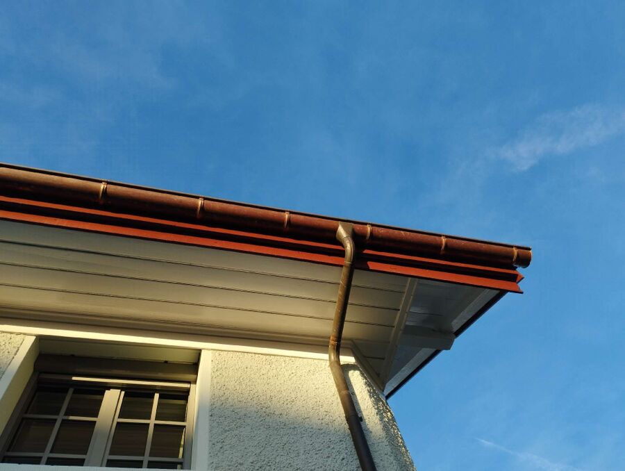  Bienennest entfernen.jpeg