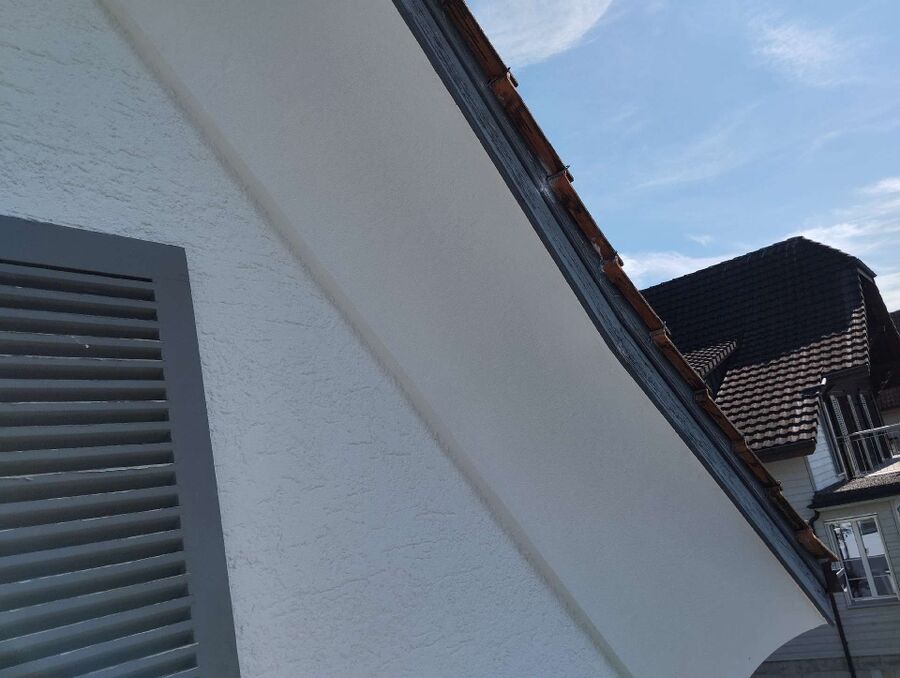  Bienennest entfernen