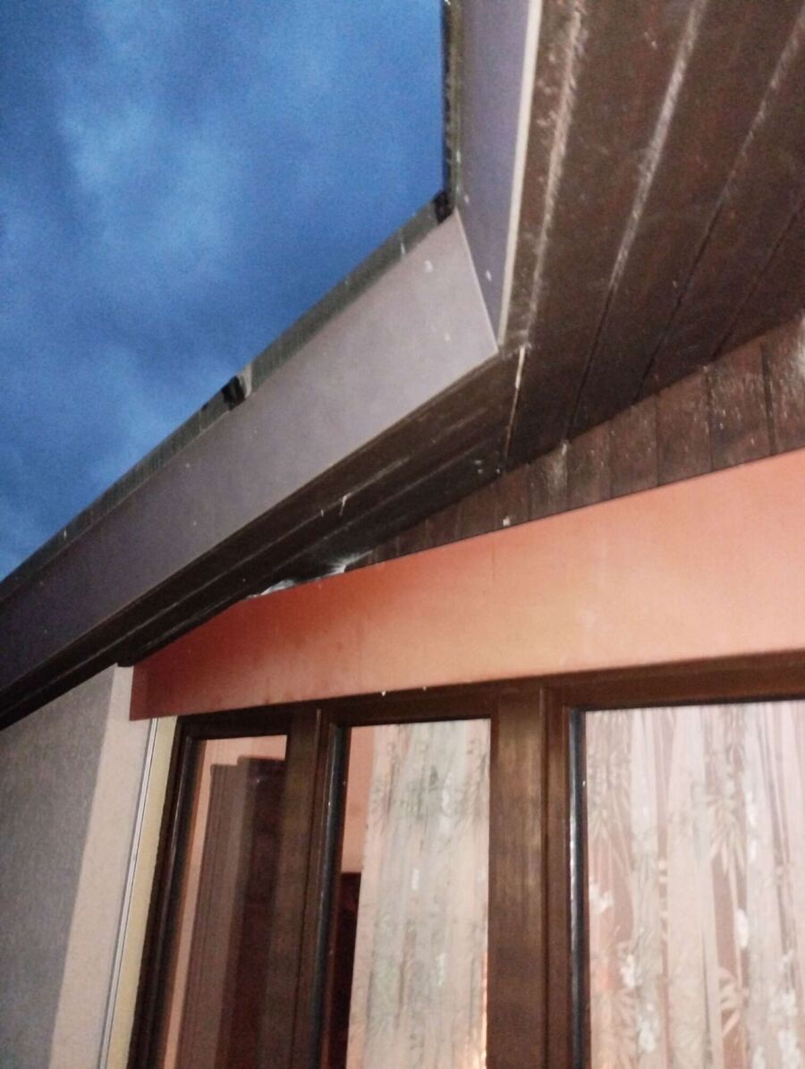  Bienennest entfernen.jpeg