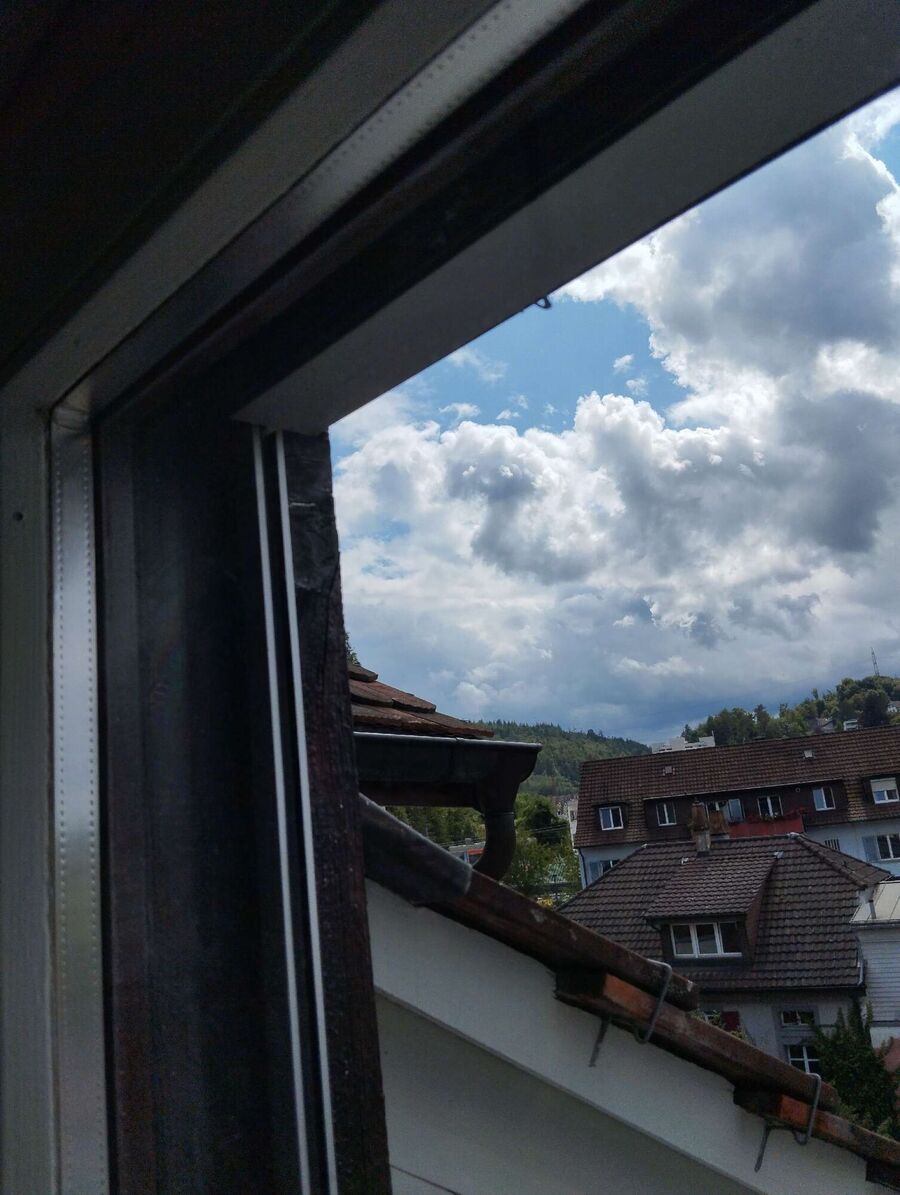  Bienennest entfernen.jpeg