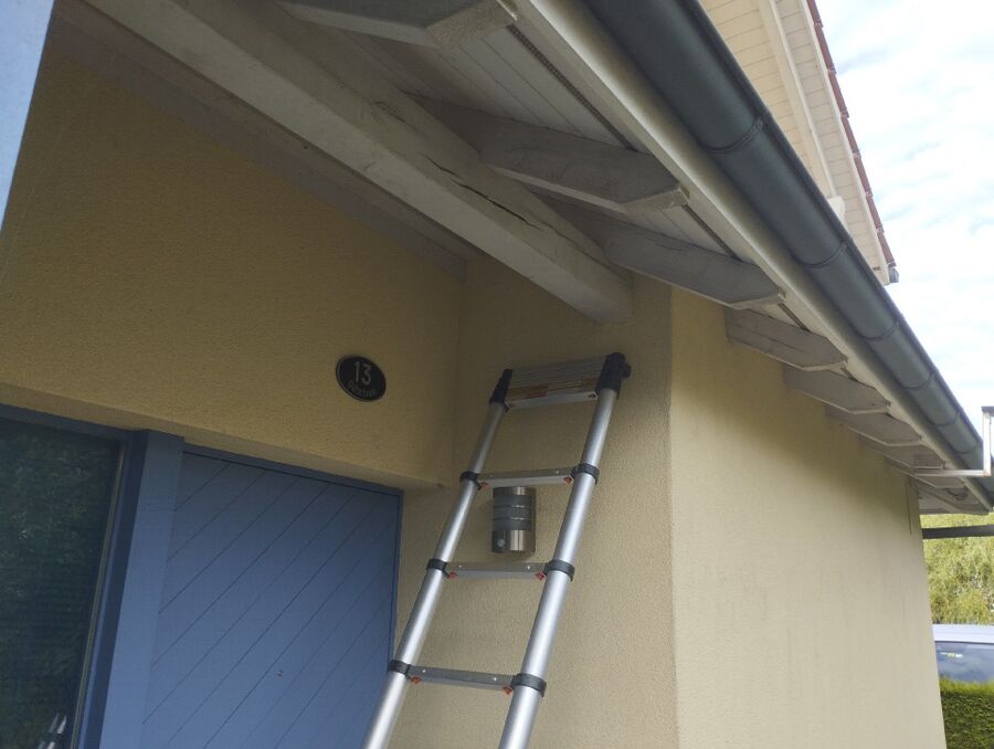  Bienennest entfernen.jpeg