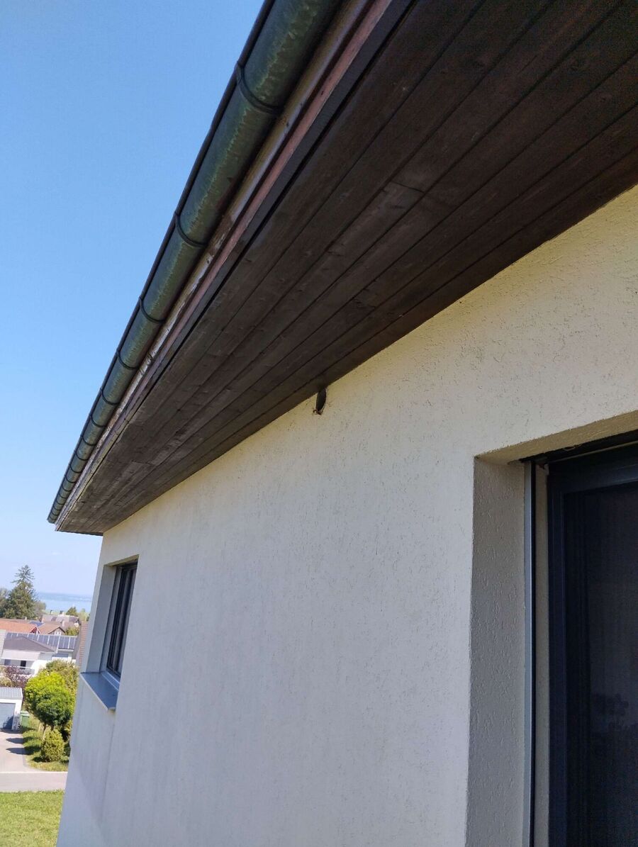  Bienennest entfernen.jpeg