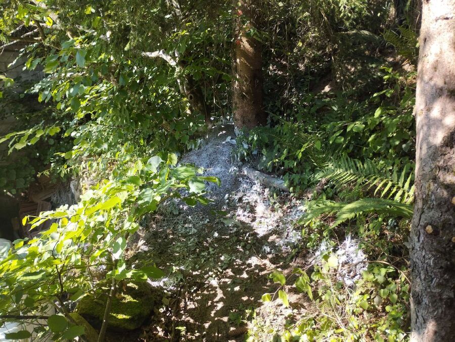  Bienennest entfernen