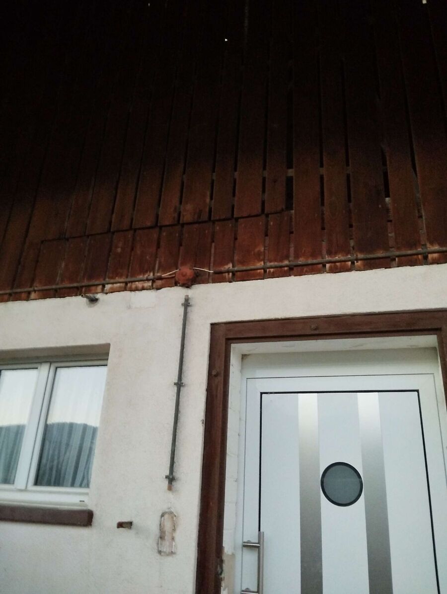  Bienennest entfernen