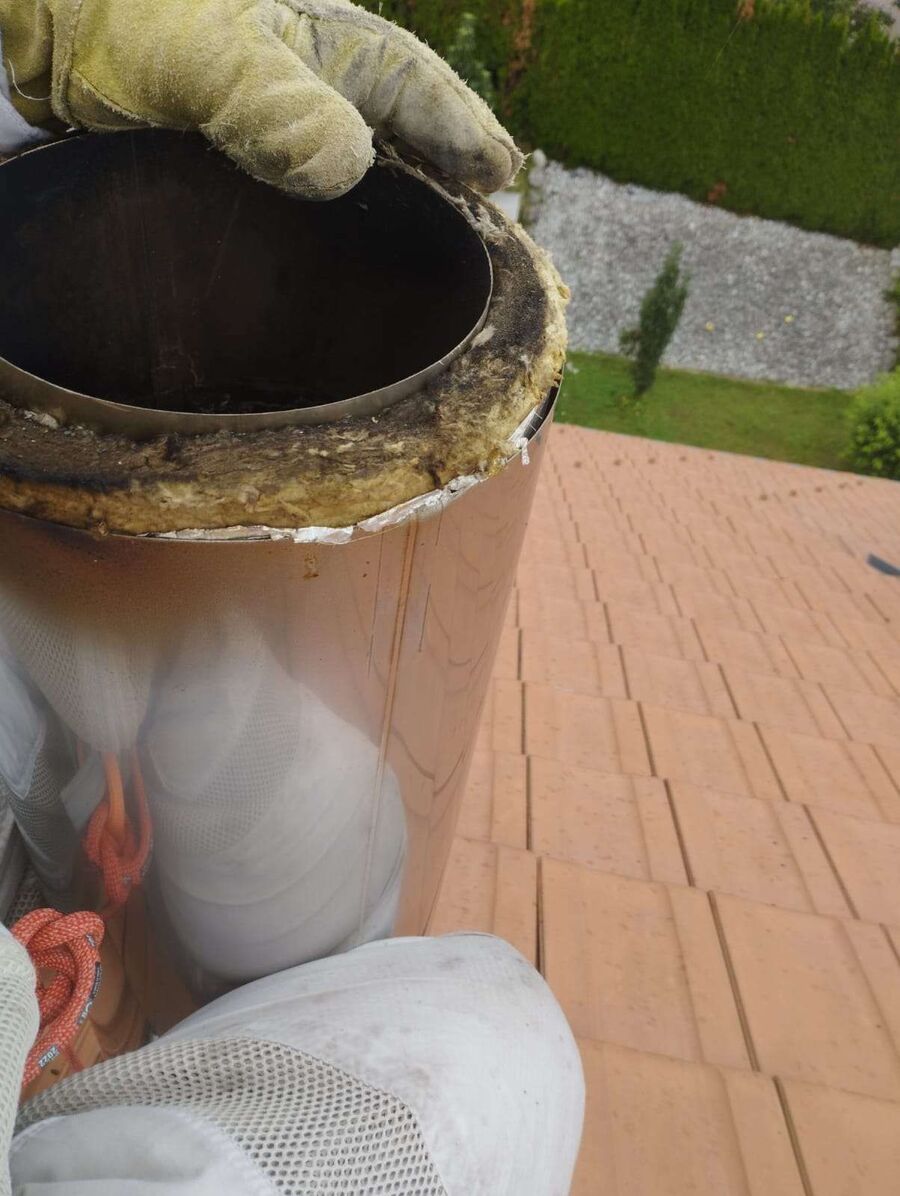  Bienennest entfernen