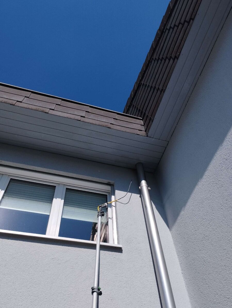  Bienennest entfernen.jpeg