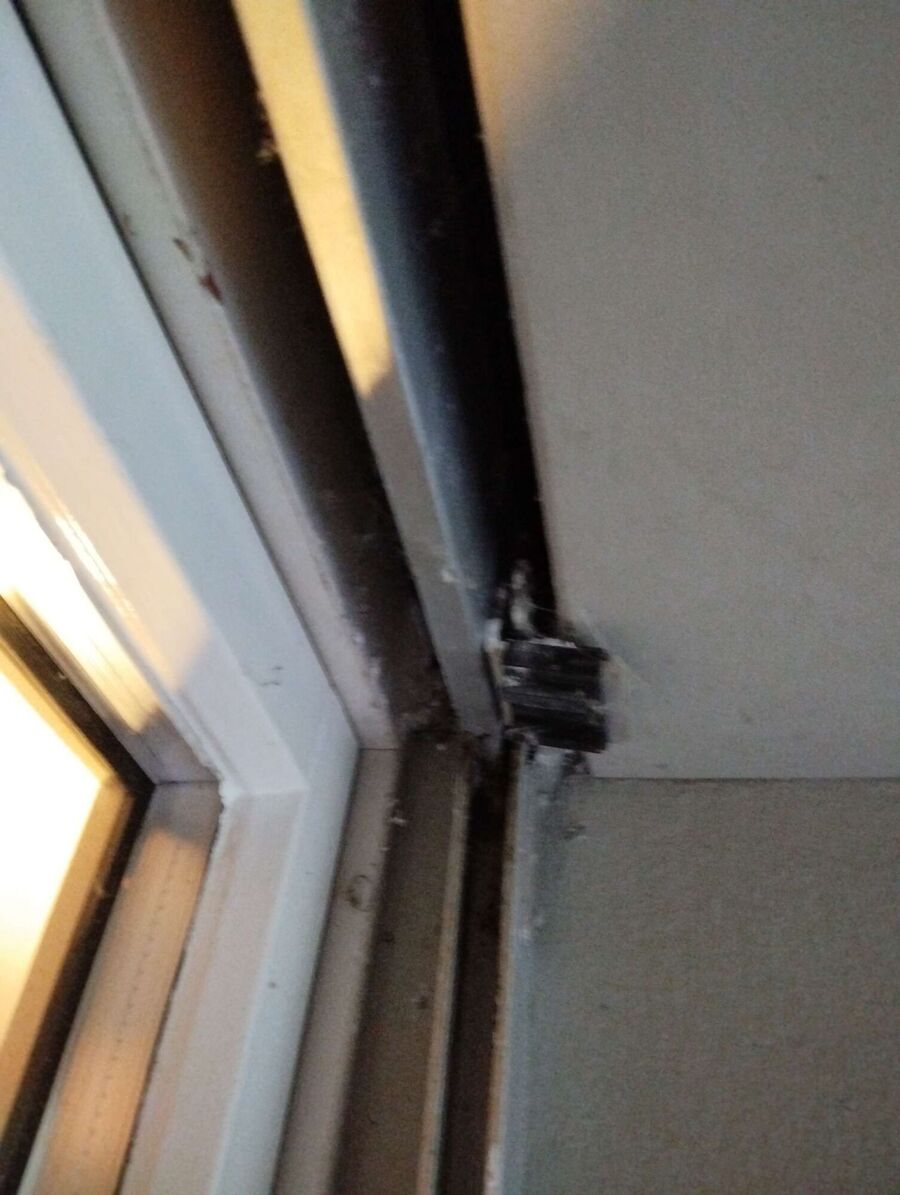 Bienen umsiedeln &  Bienennest entfernen 