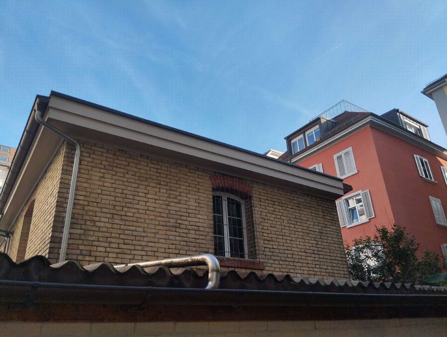 Bienen umsiedeln &  Bienennest entfernen 