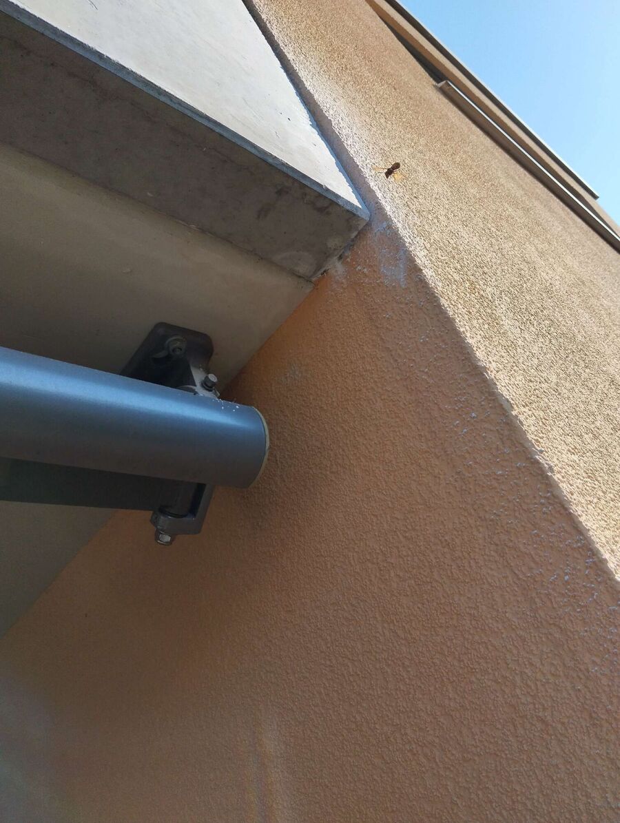  Bienennest entfernen.jpeg