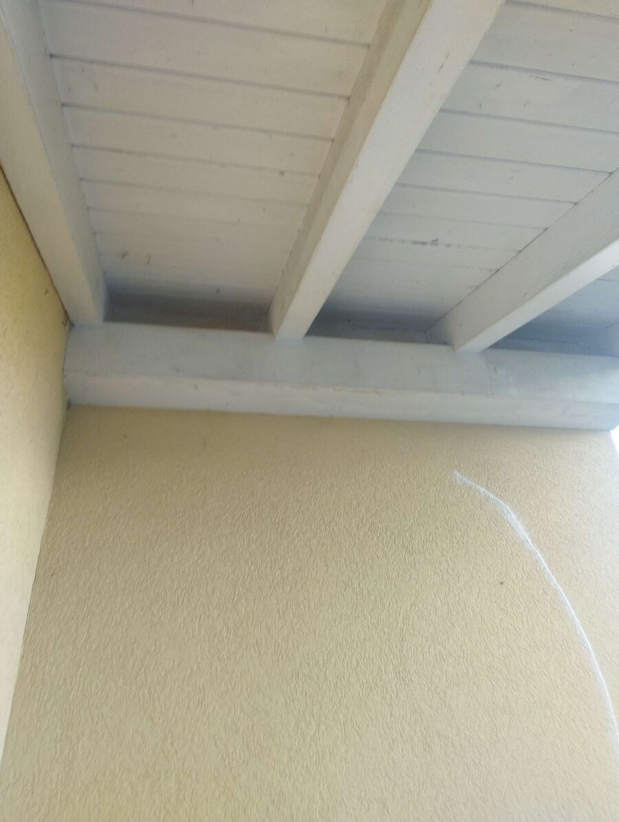  Bienennest entfernen.jpeg