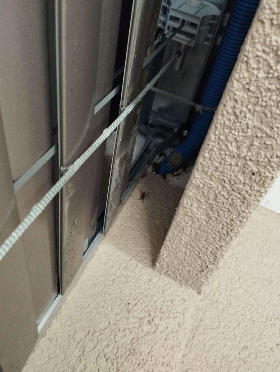  Bienennest entfernen