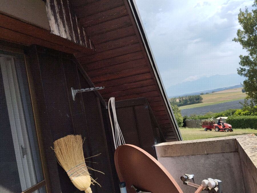 Bienen umsiedeln &  Bienennest entfernen 