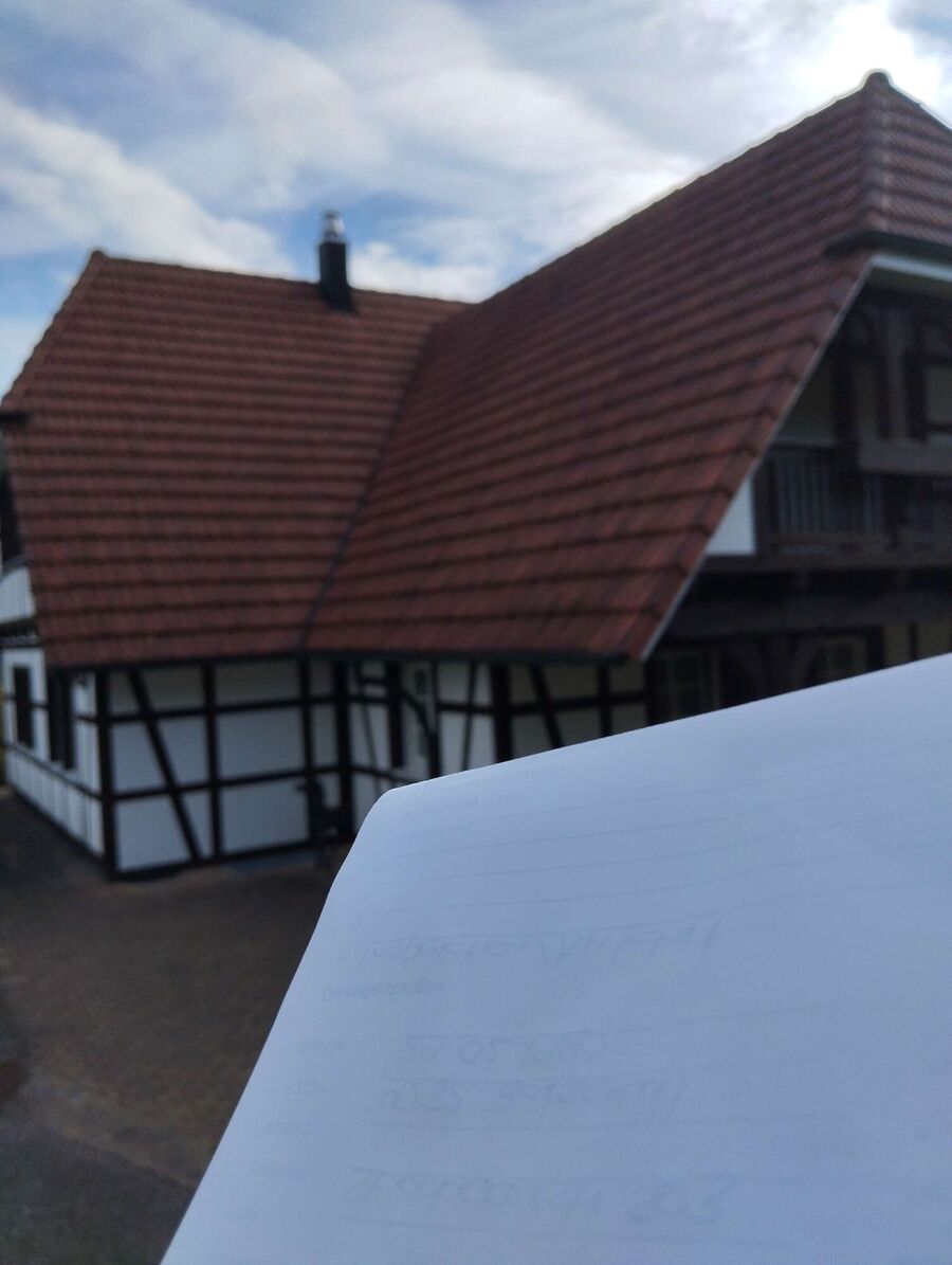  Bienennest entfernen.jpeg