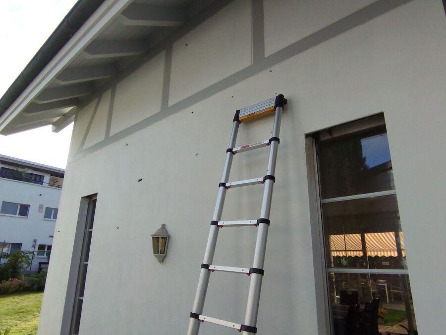 bienennest-am-haus-entfernen.jpg