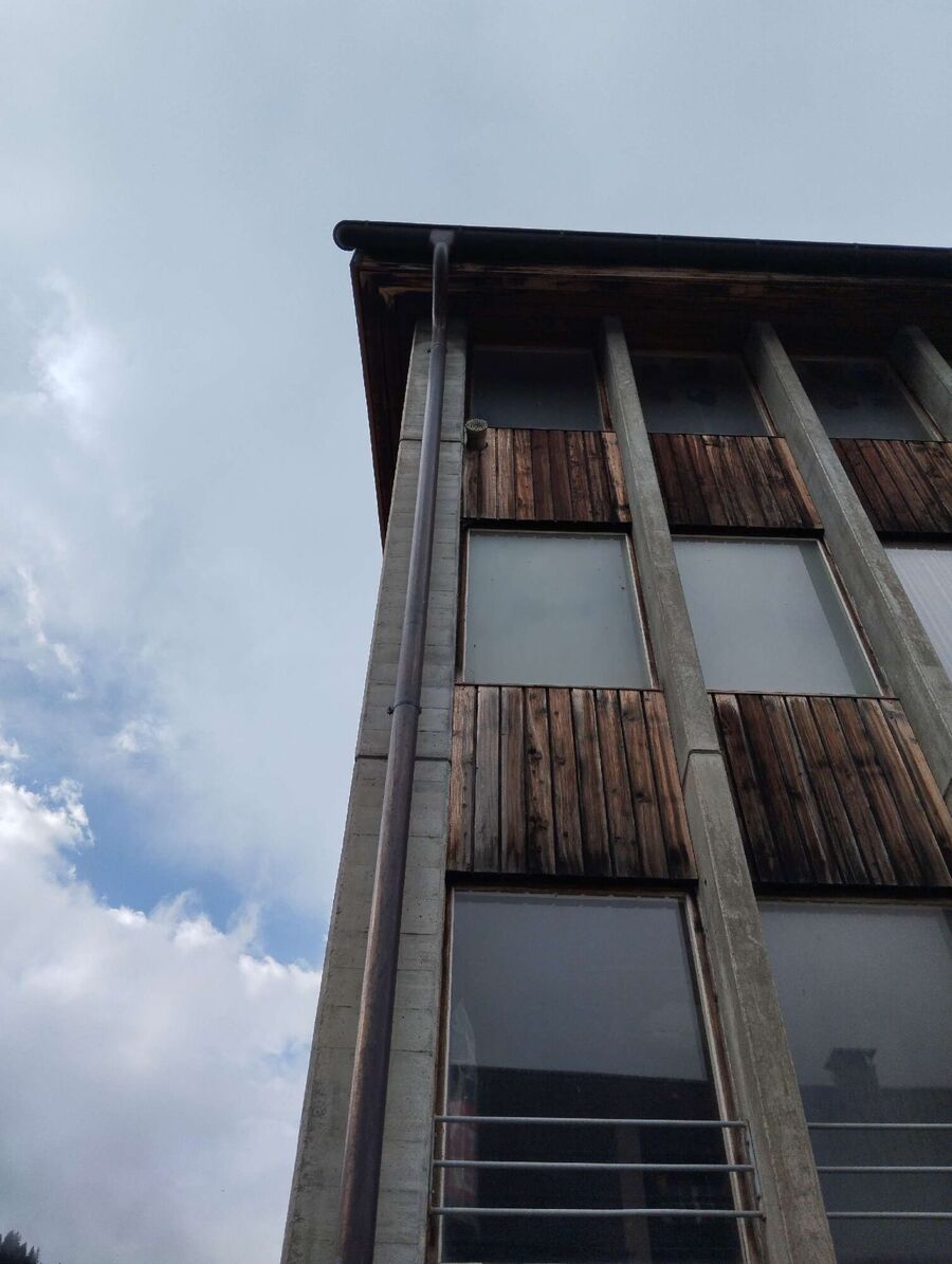 Bienen umsiedeln &  Bienennest entfernen 