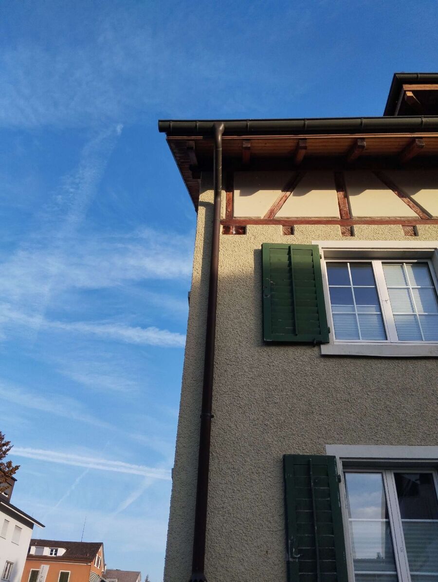  Bienennest entfernen.jpeg