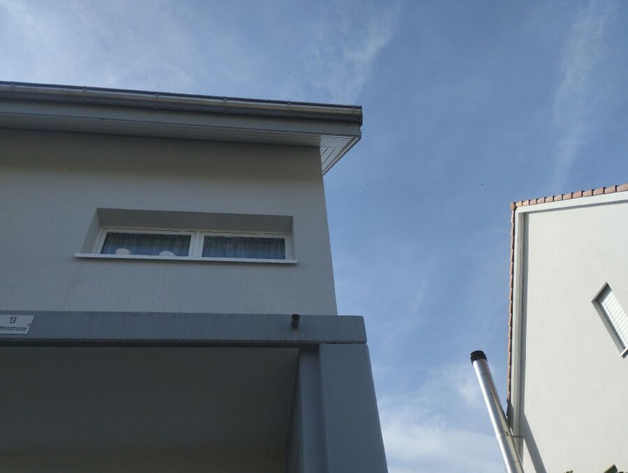 Bienen umsiedeln &  Bienennest entfernen 