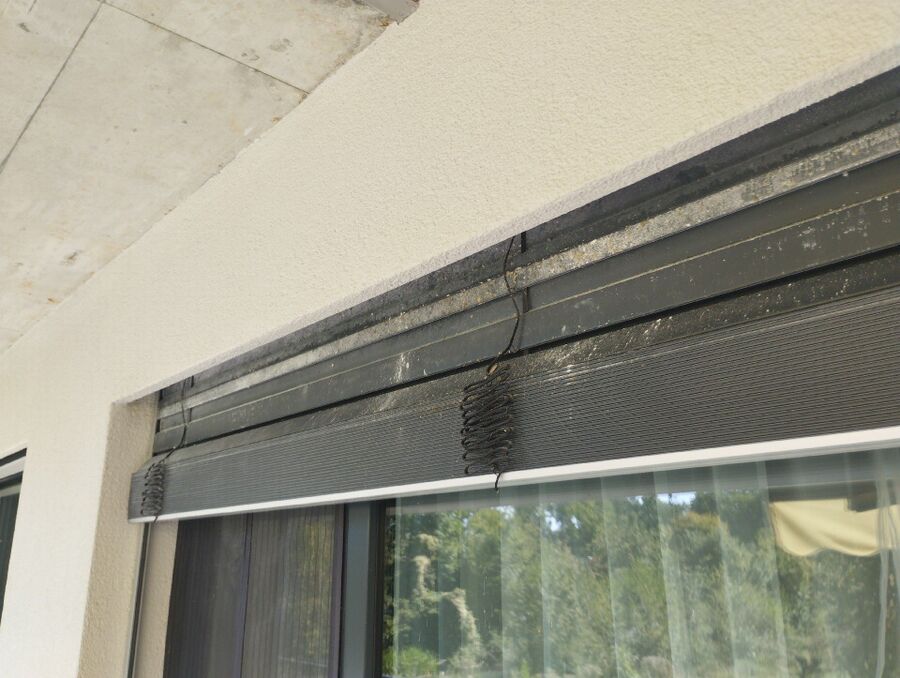  Bienennest entfernen