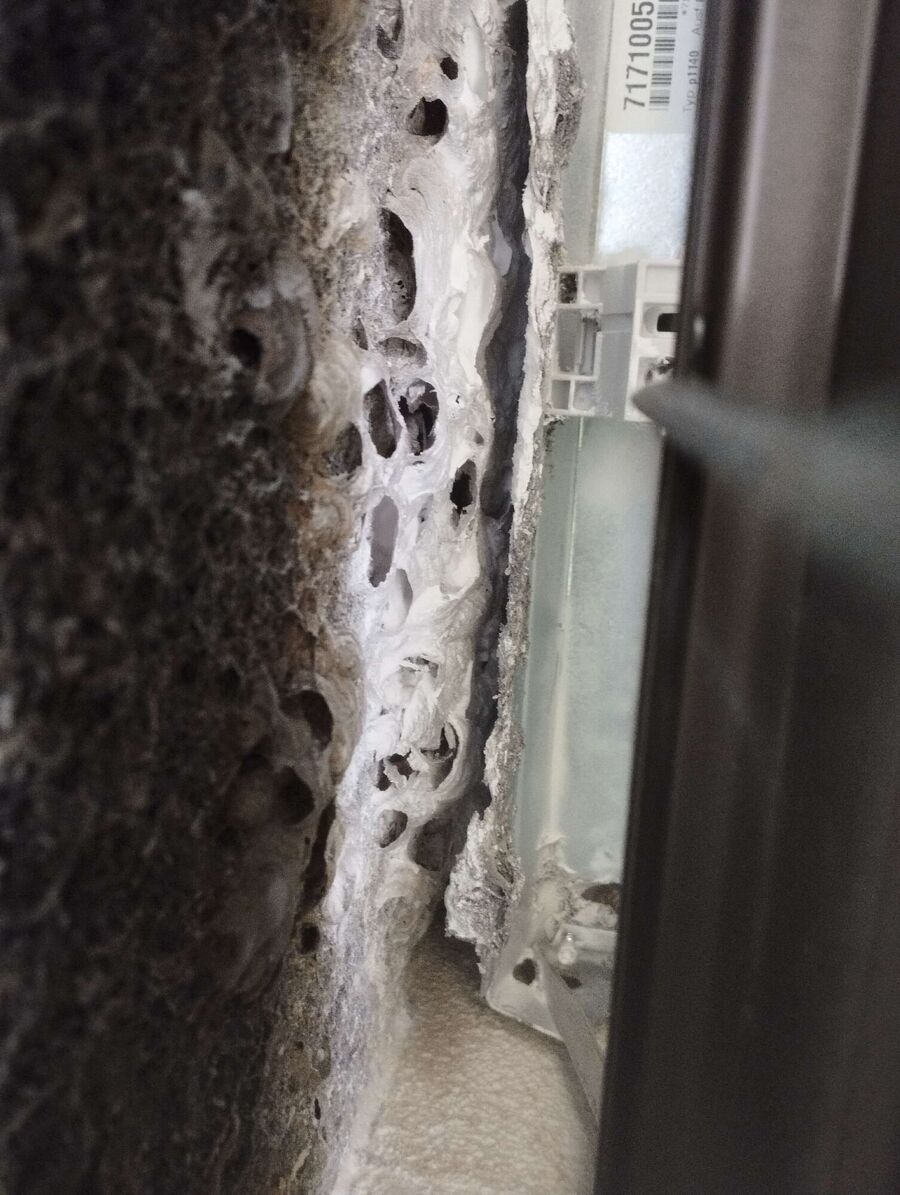 Bienen umsiedeln &  Bienennest entfernen 