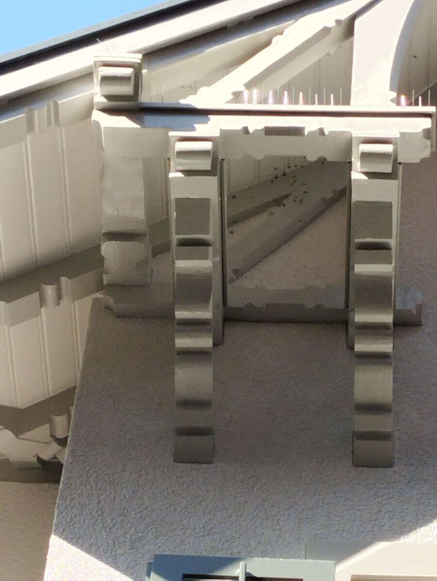  Bienennest entfernen