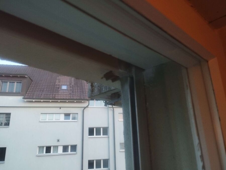  Bienennest entfernen.jpeg