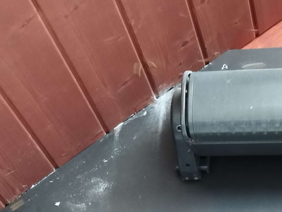  Bienennest entfernen