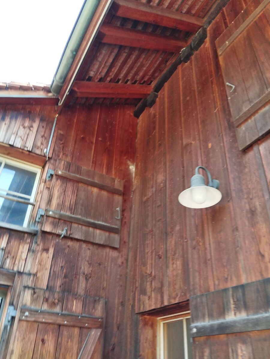 Bienen umsiedeln &  Bienennest entfernen 