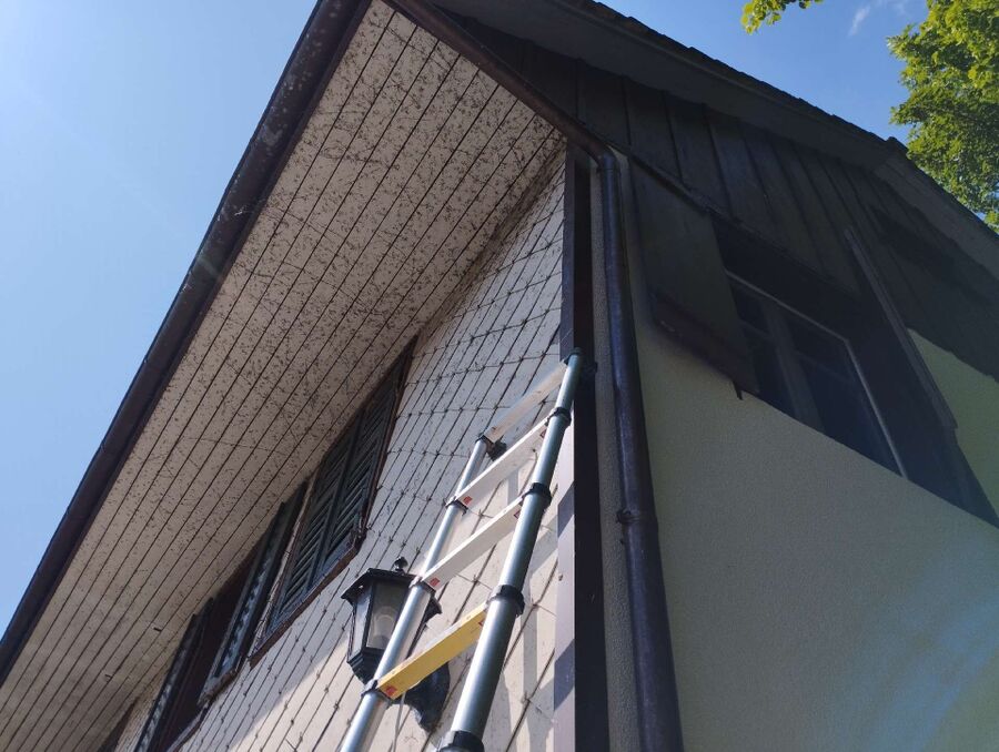  Bienennest entfernen.jpeg