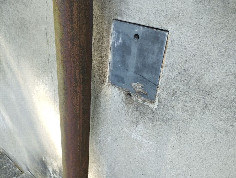  Bienennest entfernen.jpeg