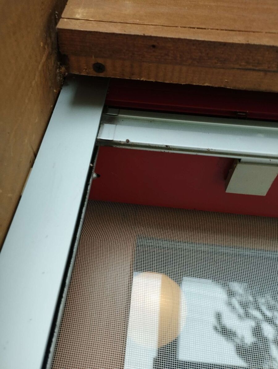  Bienennest entfernen