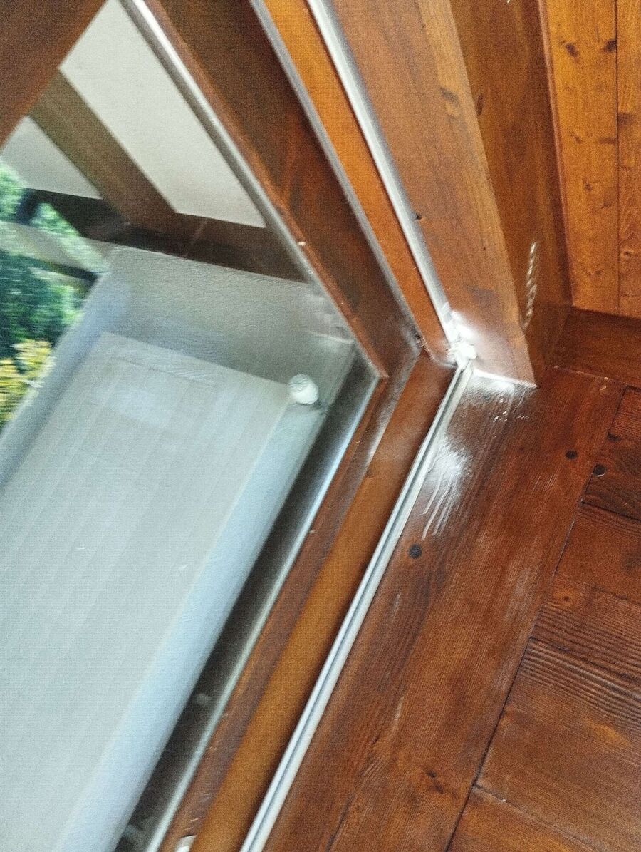 Bienen umsiedeln &  Bienennest entfernen 